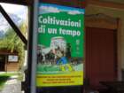 dsc04205_small.jpg