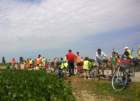 wp_20140627_0172_small.jpg