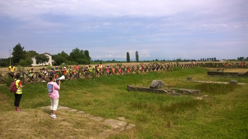 wp_20140627_027.jpg