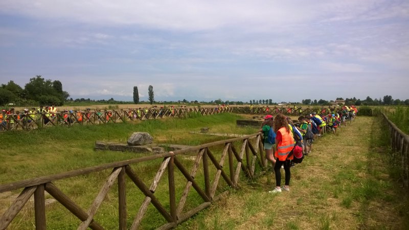 wp_20140627_029.jpg