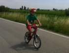 wp_20140627_0342_small.jpg