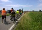wp_20140627_035a_small.jpg