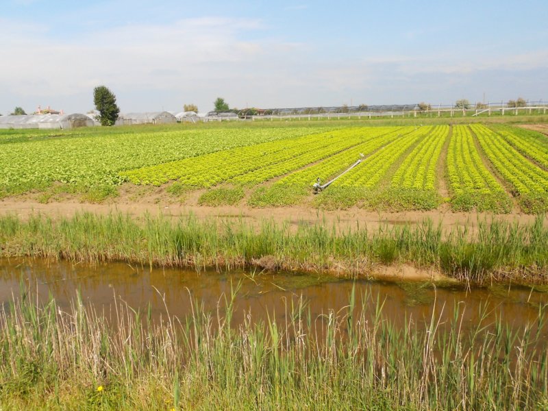 dscn0176.jpg