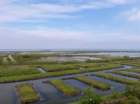dscn0223b_small.jpg
