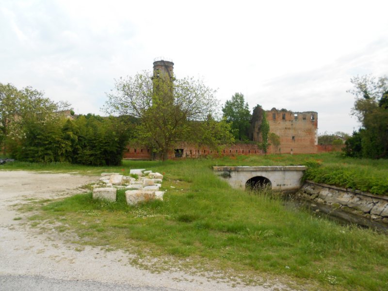 dscn0270.jpg