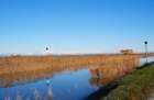 dsc_0049_small.jpg