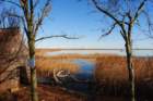 dsc_0061_small.jpg