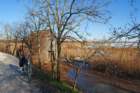 dsc_0062_small.jpg