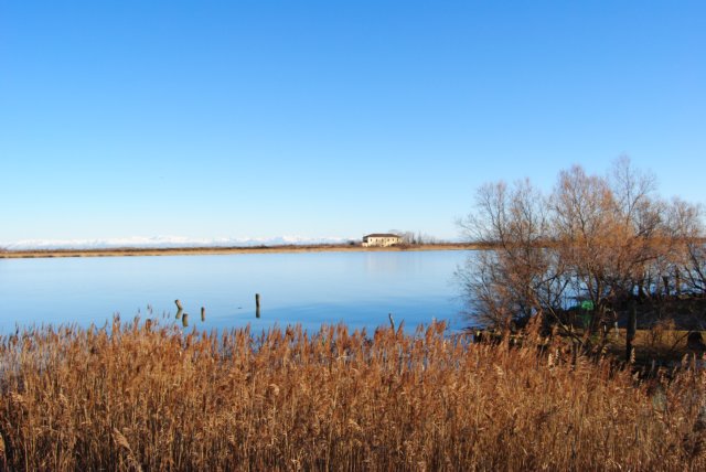 dsc_0065.jpg