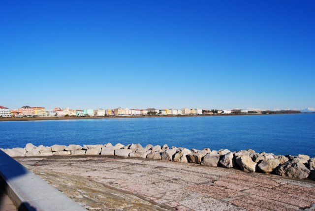 dsc_0082.jpg