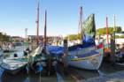 dsc_0088_small.jpg