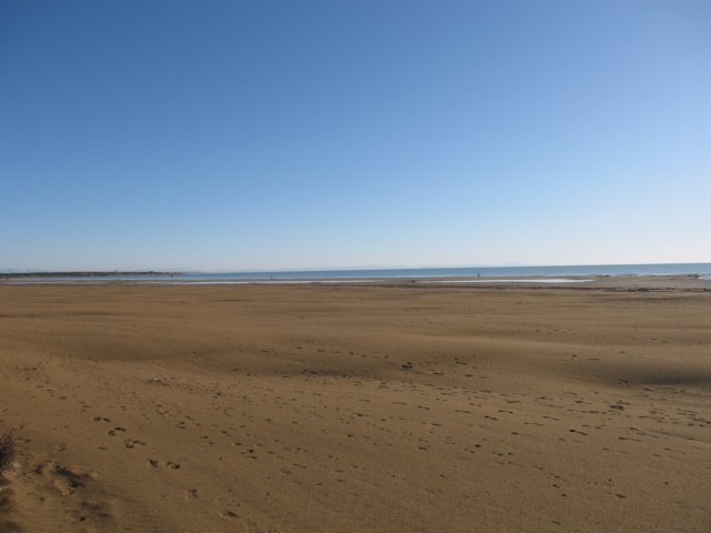 img_5811.jpg