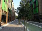 dsc08288_small.jpg