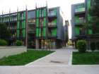 dsc08292_small.jpg