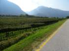 dsc08370_small.jpg