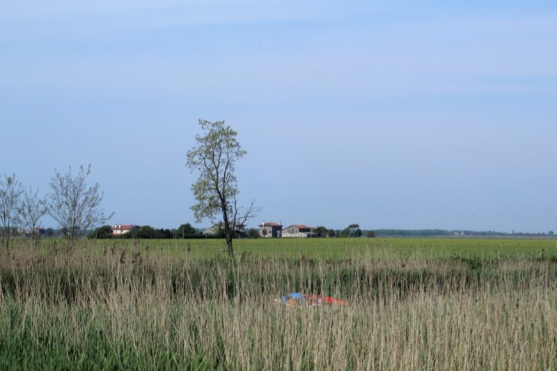 dsc01707b.jpg