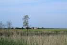 dsc01707b_small.jpg