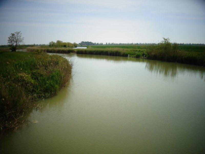 dsc01731.jpg