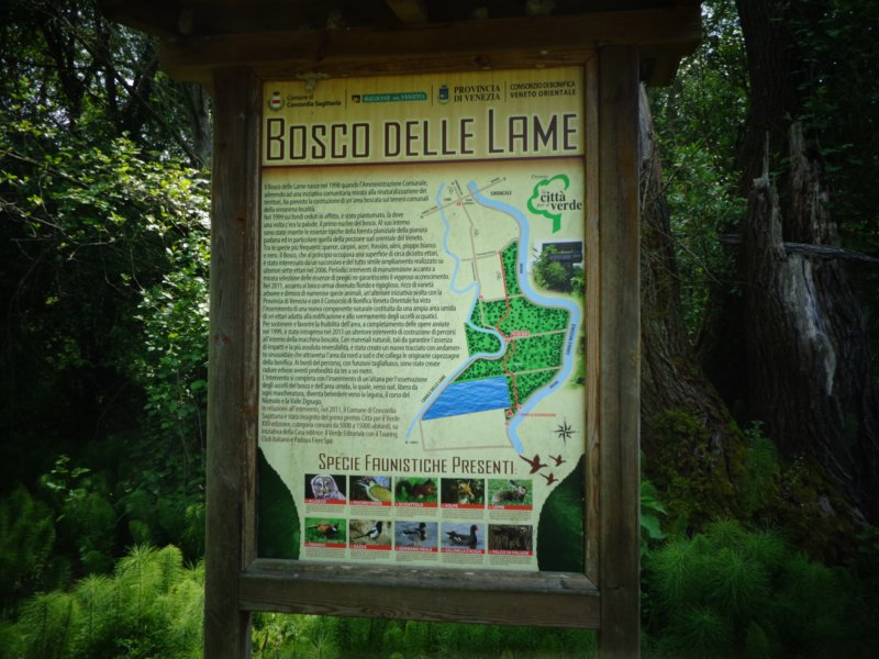 dsc01761.jpg