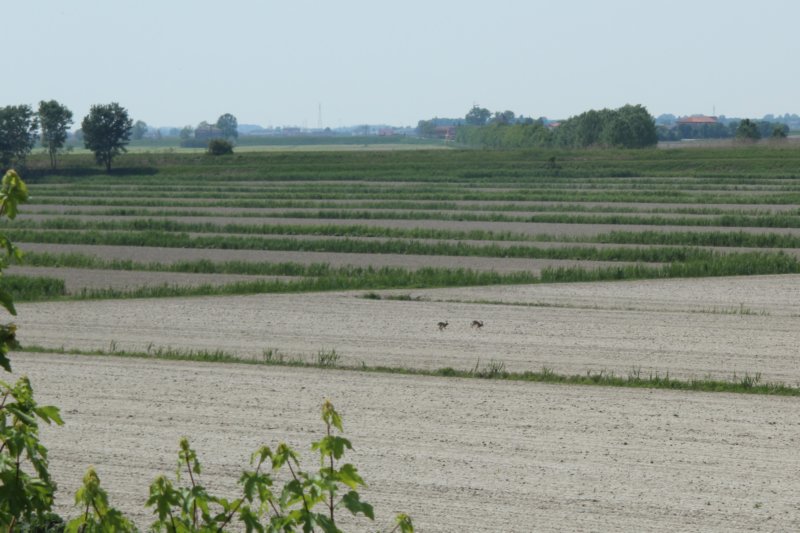 dsc01770a.jpg