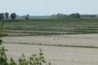 dsc01770a_small.jpg