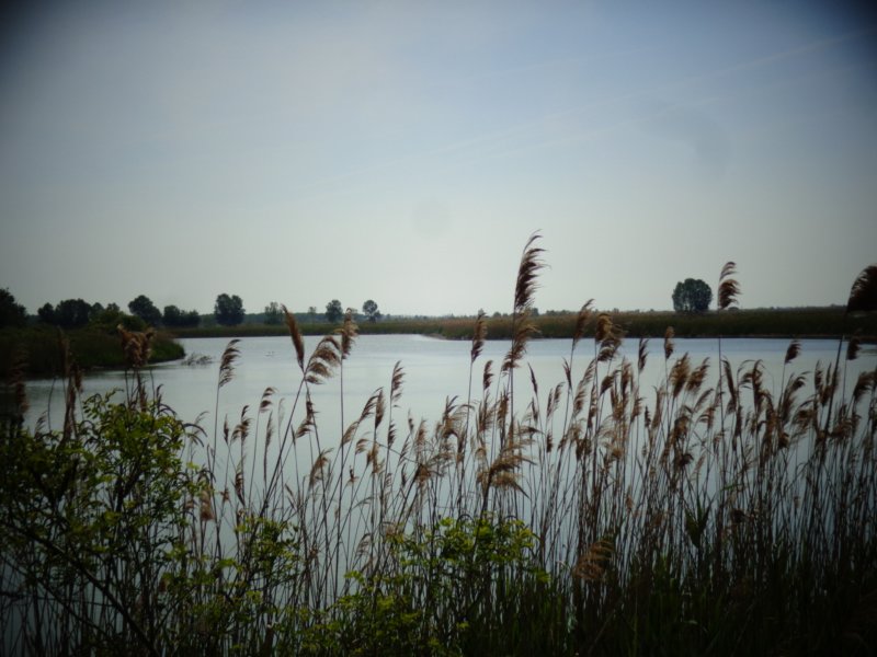 dsc01775.jpg
