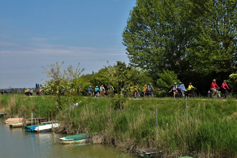 dsc01813b.jpg