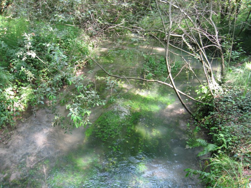 img_0206.jpg
