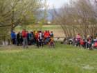dsc04779_small.jpg