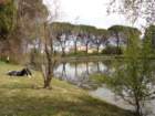 dsc04794_small.jpg
