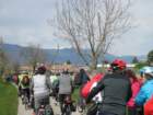 dsc04806a_small.jpg