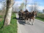 dsc04806b_small.jpg