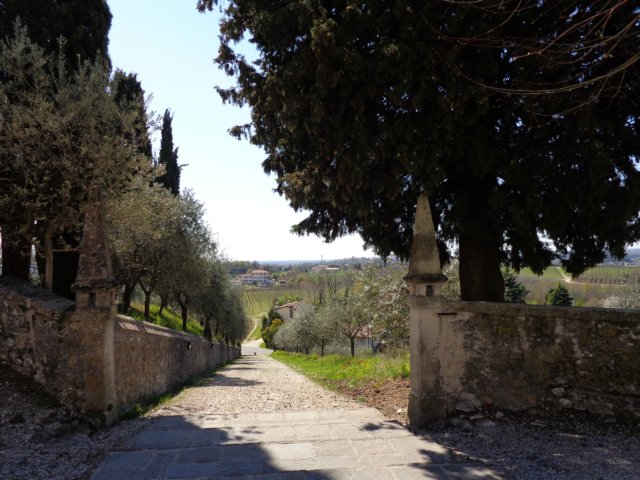photo23.jpg
