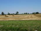 dsc00213_small.jpg
