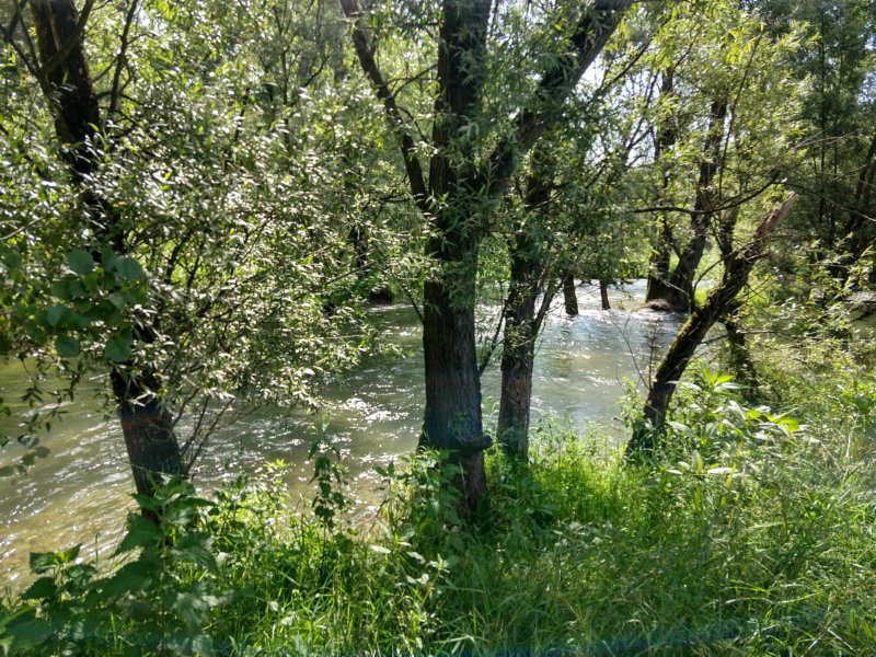 photo.jpg