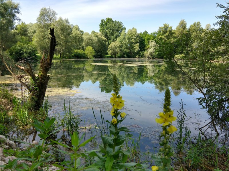 photo3.jpg