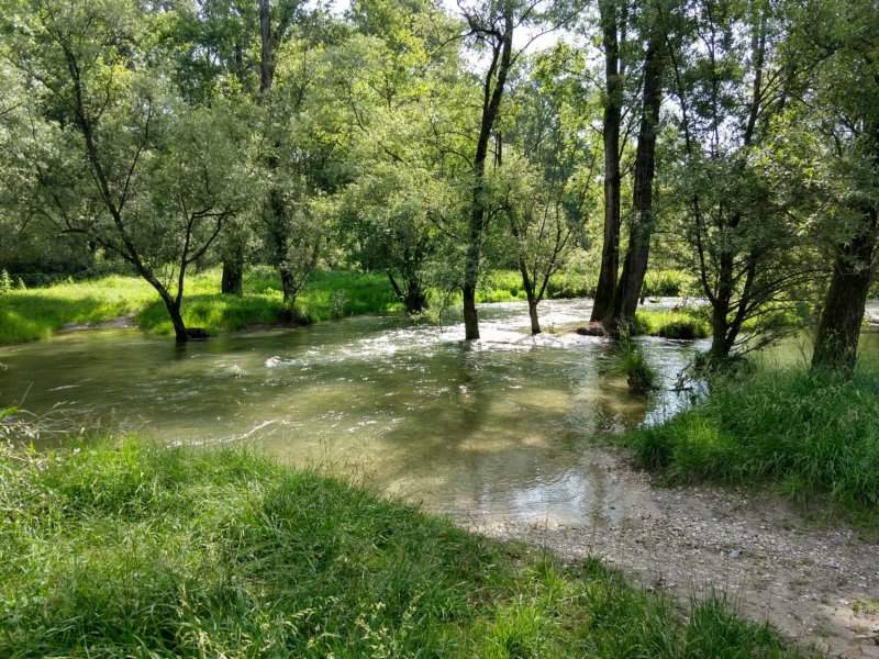 photo4.jpg
