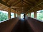 dsc06320_small.jpg