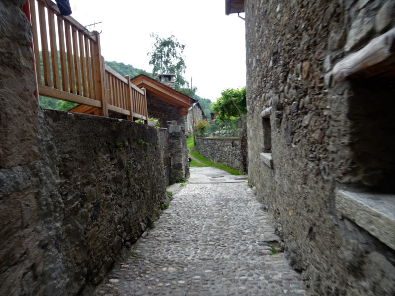 dsc06350.jpg