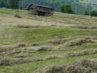 dsc06383_small.jpg