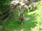 dsc06392_small.jpg