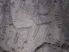 dsc06446_small.jpg