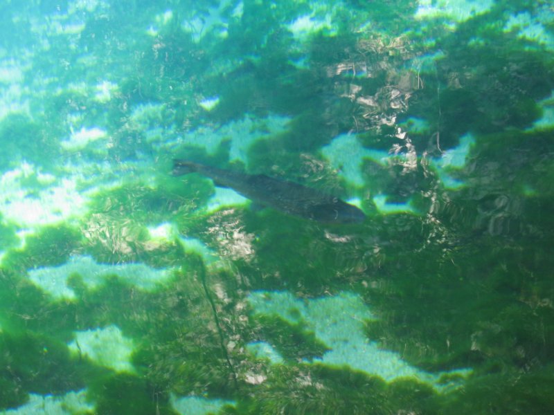 photo15.jpg