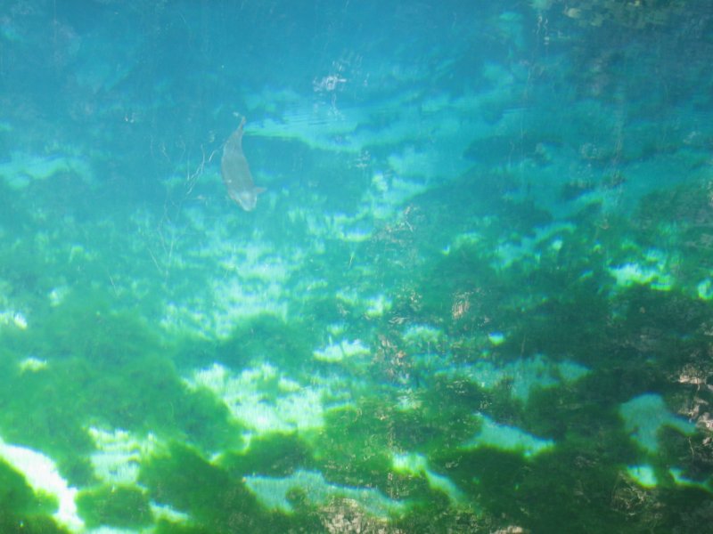 photo16.jpg