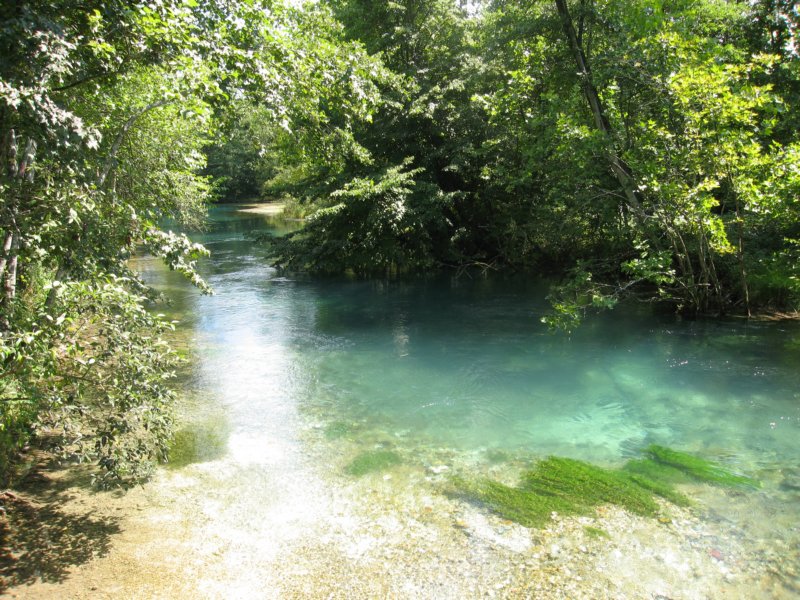 photo19.jpg