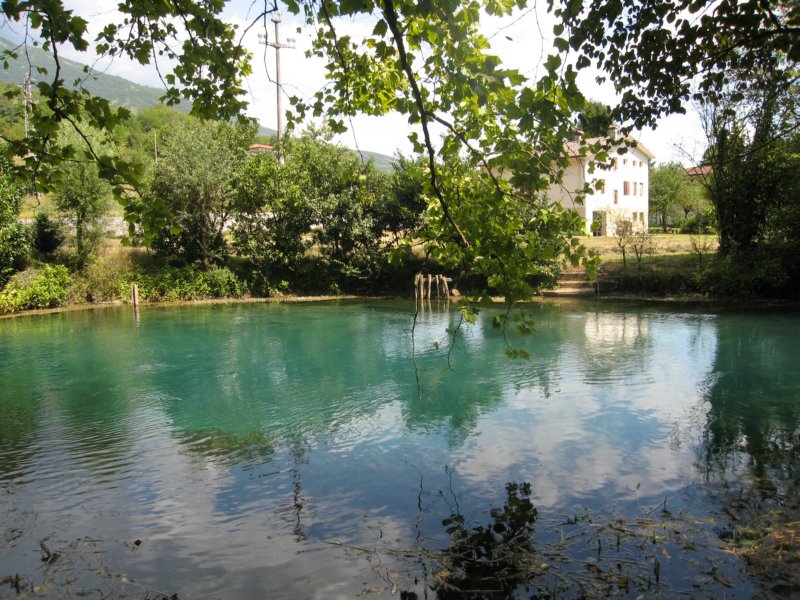 photo22.jpg