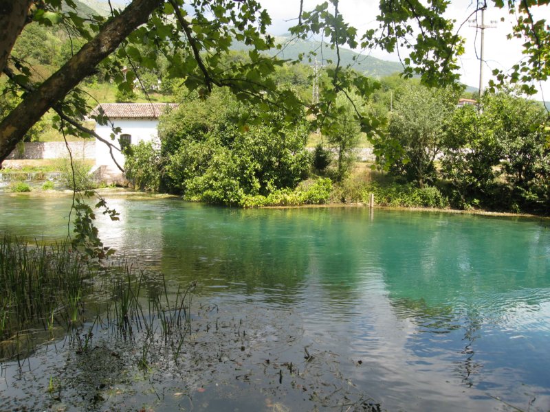 photo23.jpg