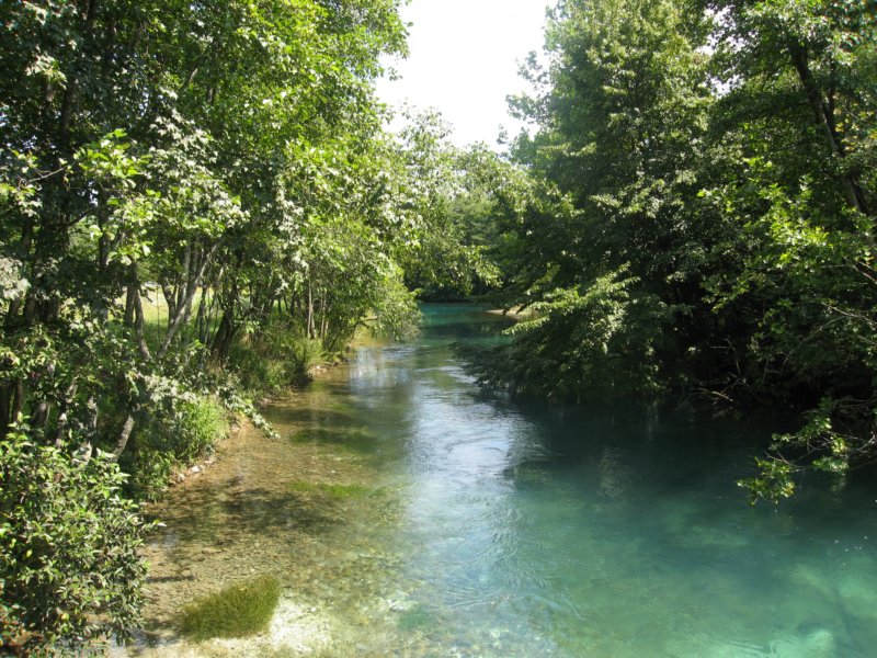 photo24.jpg