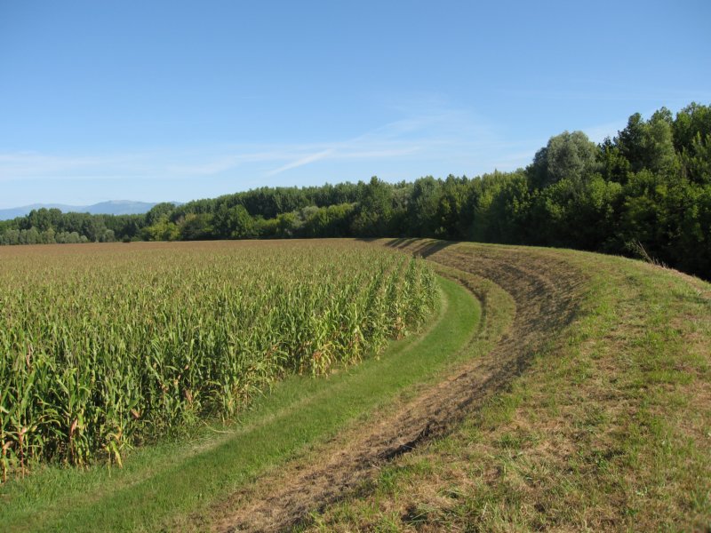 photo3.jpg