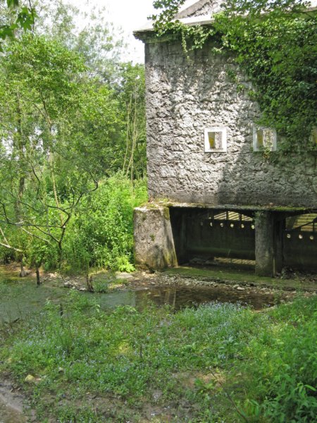 photo17.jpg